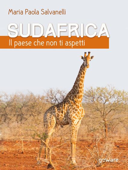 Sudafrica. Il paese che non ti aspetti - Maria Paola Salvanelli - copertina