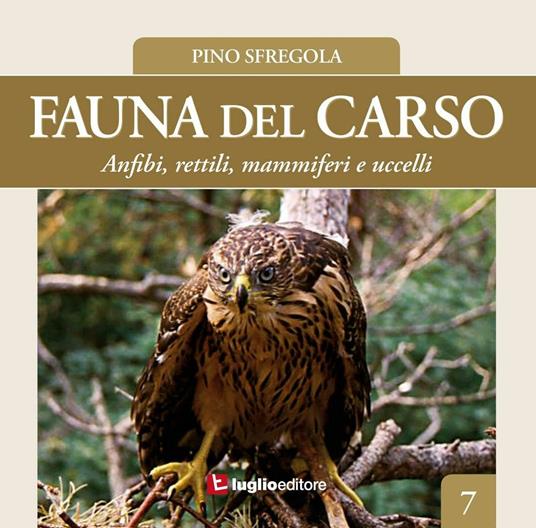 Fauna del Carso. Vol. 7: Anfibi, rettili, mammiferi e uccelli. - Pino Sfregola - copertina