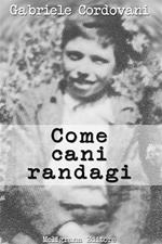 Come cani randagi