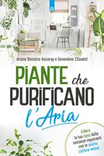 Piante che purificano l'aria