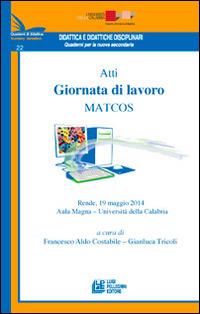 Atti Giornata di lavoro MATCOS - Francesco Costabile,Gianluca Tricoli - copertina