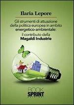 Gli strumenti di attuazione della politica europea in ambito energetico-ambientale. Il contributo della Magaldi Industrie