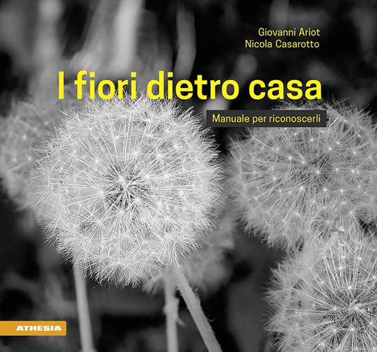 I fiori dietro casa. Manuale per riconoscerli. Ediz. illustrata - Giovanni Ariot,Nicola Casarotto - copertina