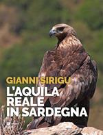 L' aquila reale in Sardegna