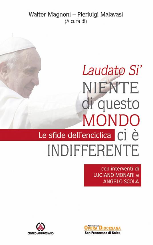 Laudato Sì. Niente di questo mondo ci è indifferente. Le sfide dell'enciclica - copertina