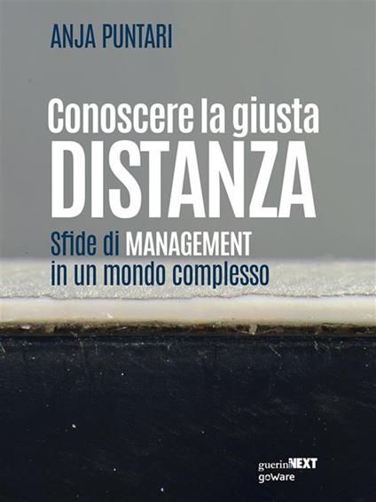 Conoscere la giusta distanza. Sfide di management in un mondo complesso - Anja Puntari - ebook