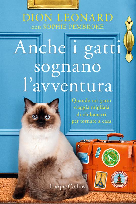 Anche i gatti sognano l'avventura - Dion Leonard,Sophie Pembroke - copertina