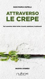 Attraverso le crepe. Sul cammino delle ferite: ricordi, ambizioni, tradimenti