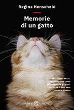 Memorie di un gatto