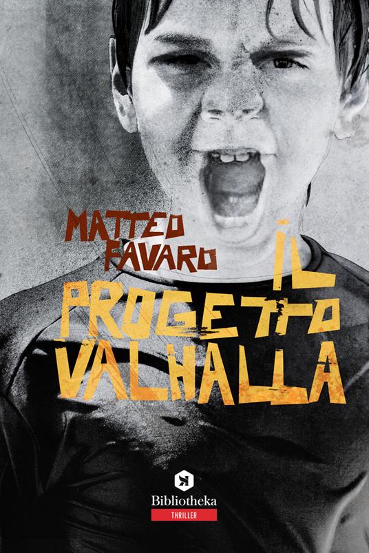 Il progetto Valhalla - Matteo Favaro - copertina