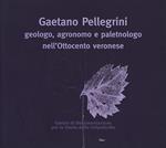 Gaetano Pellegrini geologo, agronomo e paletnologo nell'Ottocento veronese. Atti del Convegno