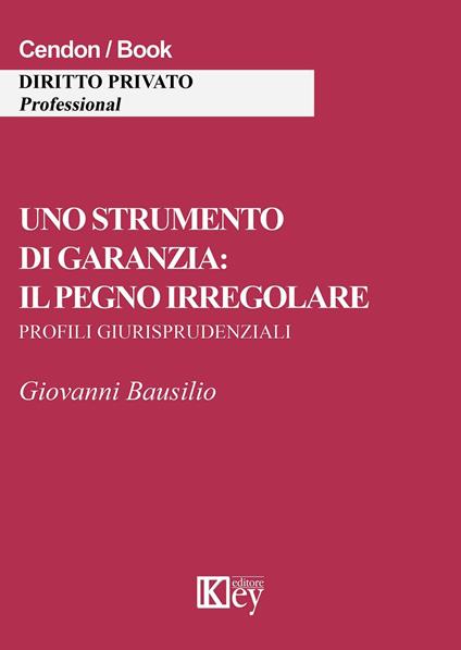 Uno strumento di garanzia. Il pegno irregolare. Profili giurisprudenziali - Giovanni Bausilio - copertina