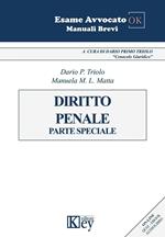 Dirito penale. Parte speciale