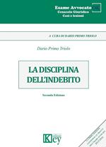 La disciplina dell'indebito