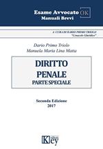 Dirito penale. Parte speciale