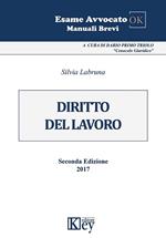 Manuale di diritto del lavoro