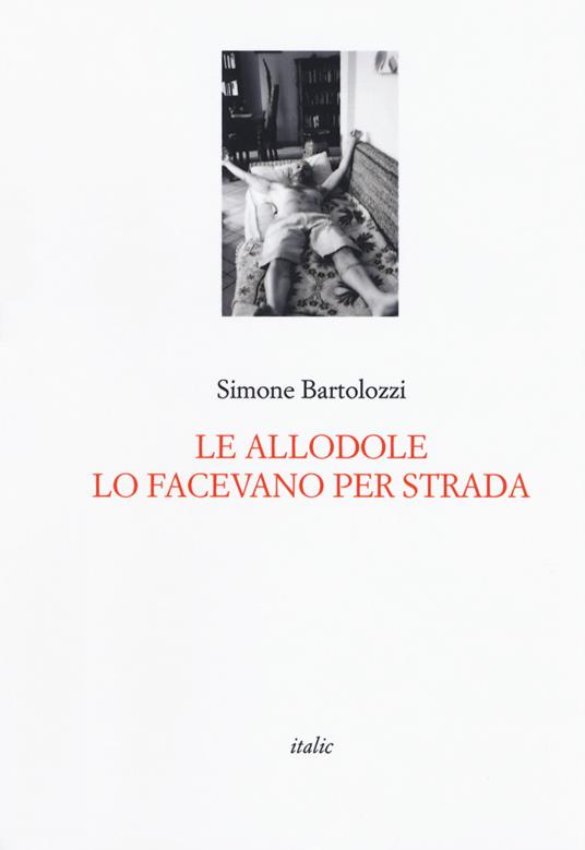 Le allodole lo facevano per strada - Simone Bartolozzi - copertina