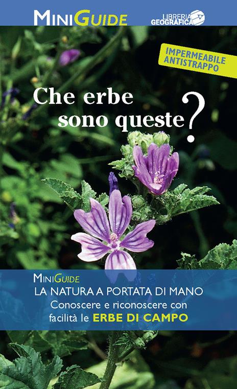 Che erbe sono queste? - copertina