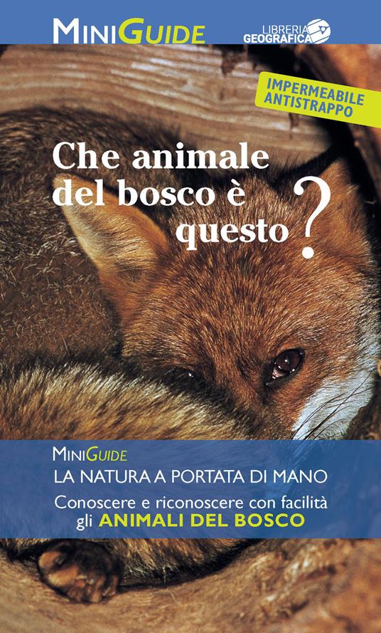 Che animale del bosco è questo? - copertina