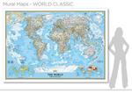 The world. Mural map