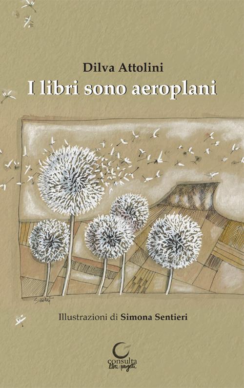 I libri sono aeroplani. Ediz. illustrata - Dilva Attolini - copertina