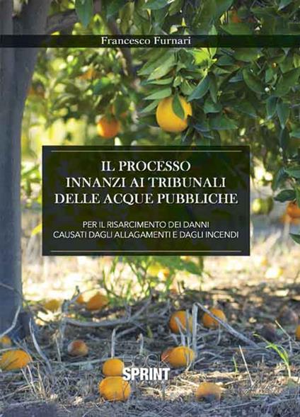 Il processo innanzi ai tribunali delle acque pubbliche per il risarcimento dei danni causati dagli allagamenti e dagli incendi - Francesco Furnari - copertina