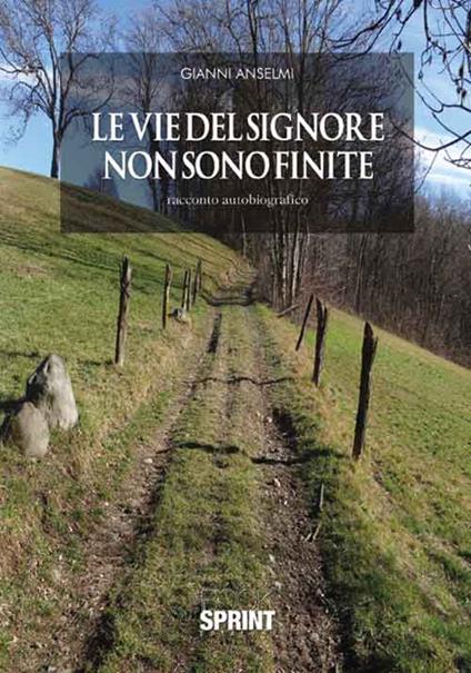 Le vie del Signore non sono finite - Gianni Anselmi - copertina