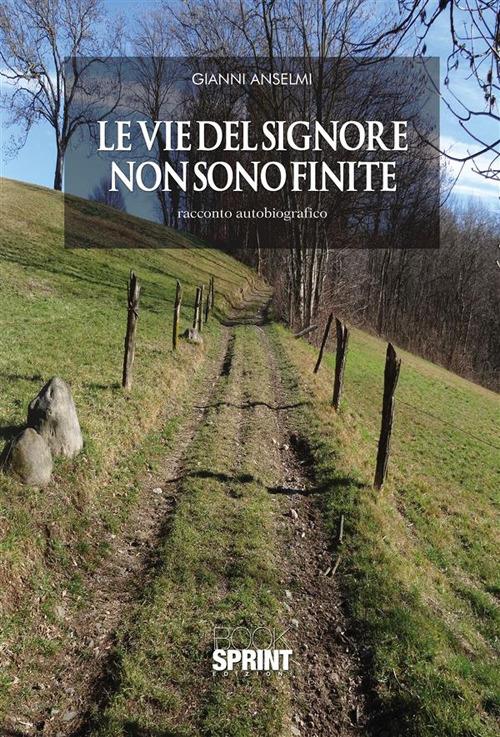 Le vie del Signore non sono finite - Gianni Anselmi - ebook