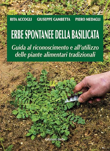 Erbe spontanee della Basilicata. Guida al riconoscimento e all'utilizzo delle piante alimentari tradizionali - Rita Accogli,Giuseppe Gambetta,Piero Medagli - copertina