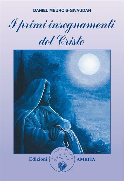 I primi insegnamenti del Cristo - Daniel Meurois,D. Muggia - ebook