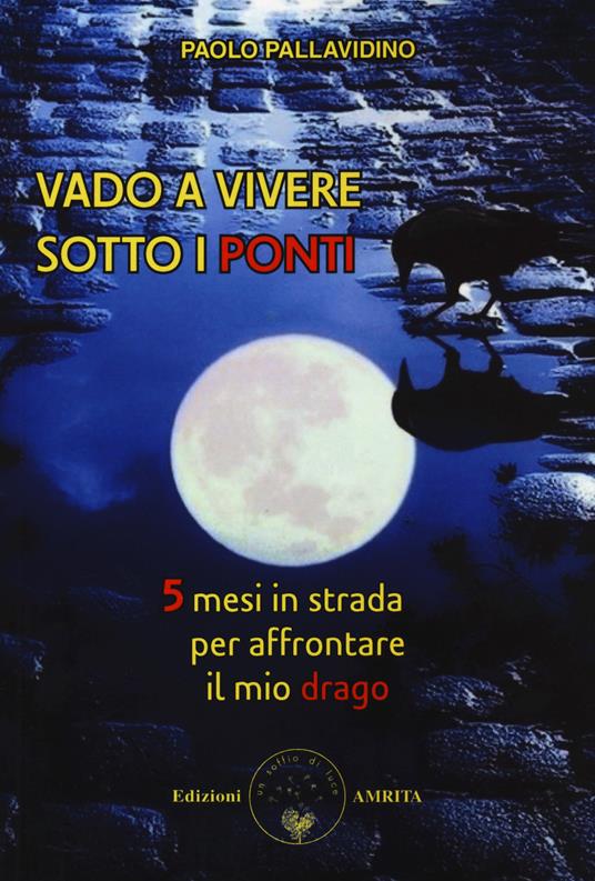 Vado a vivere sotto i ponti. 5 mesi in strada per affrontare il mio drago - Paolo Pallavidino - copertina