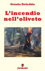 L' incendio nell'oliveto