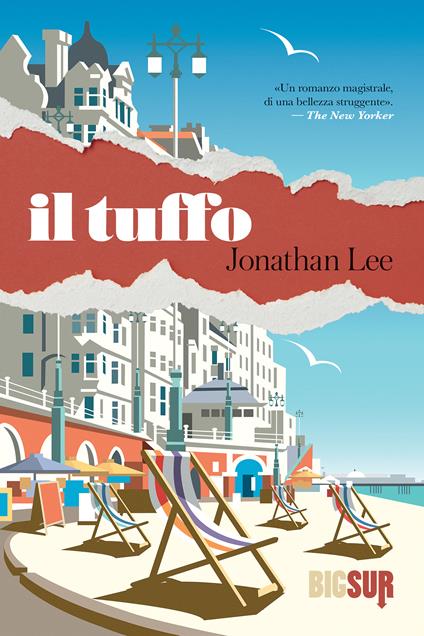 Il tuffo - Jonathan Lee,Sara Reggiani - ebook