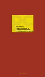 Il diritto del diritto, il diritto del potere e l'unità della costituzione