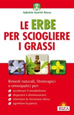 Le erbe per sciogliere i grassi