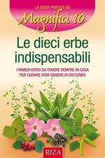 Le 10 erbe indispensabili. I rimedi verdi da tenere sempre in casa per curare ogni genere di disturbo