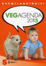 Vegagenda 2015