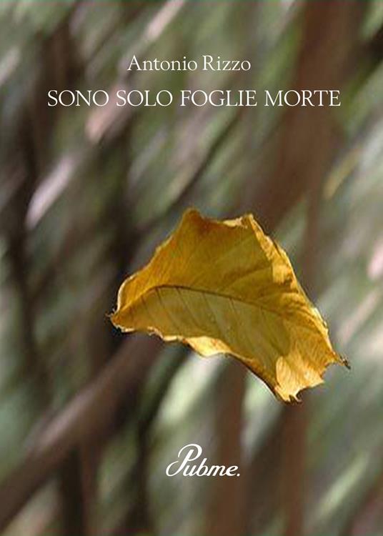 Sono solo foglie morte - Antonio Rizzo - copertina