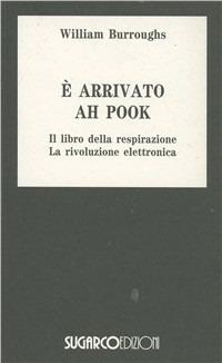 E' arrivato Ah Pook - William Burroughs - copertina