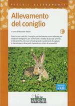 Allevamento del coniglio. DVD