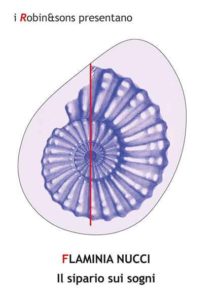 Il sipario sui sogni - Flaminia Nucci - copertina