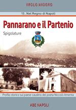 Pannarano e il Partenio: spigolature. Profilo storico sul paese caudino del poeta Niccolò Amenta. Nuova ediz.