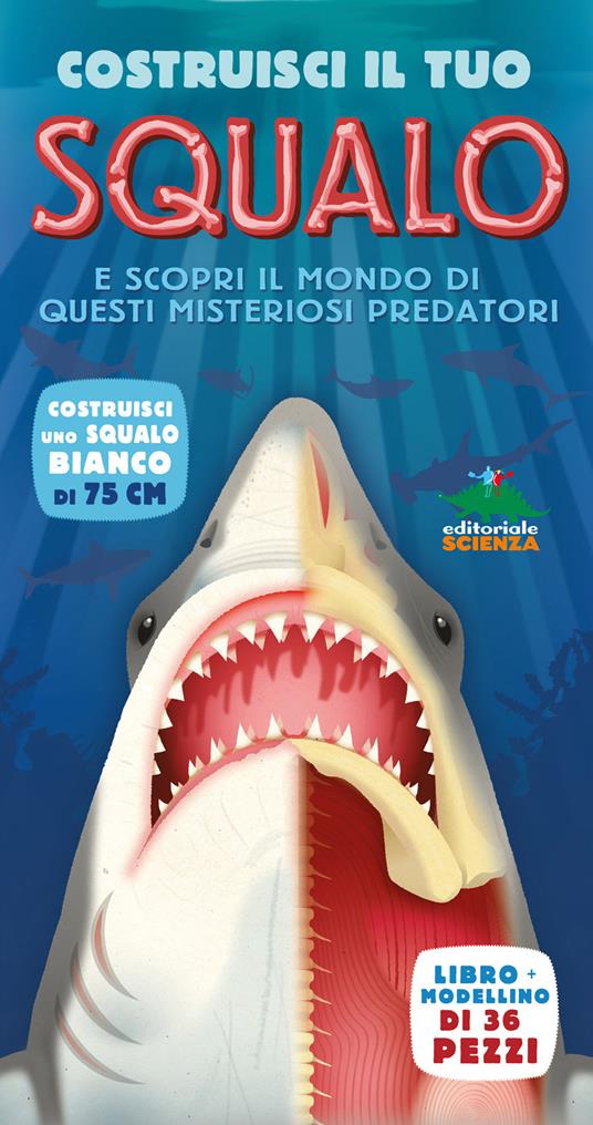 Costruisci il tuo squalo e scopri il mondo di questi misteriosi predatori. Libro pop-up. Ediz. illustrata - Barbara Taylor - copertina