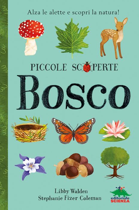 Bosco. Alza le alette e scopri la natura! Ediz. illustrata - Libby Walden - copertina