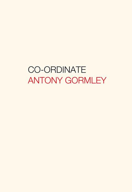 Antony Gormley. Co-ordinate. Ediz. italiana e inglese - copertina