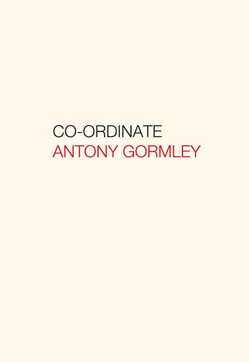 Antony Gormley. Co-ordinate. Ediz. italiana e inglese - copertina