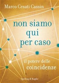 Non siamo qui per caso - Marco Cesati Cassin - ebook