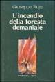 L' incendio della foresta demaniale