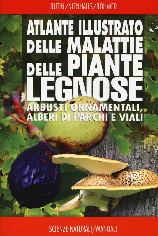 Atlante illustrato delle malattie delle piante legnose. Arbusti ornamentali, alberi di parchi e viali - Heinz Butin,Franz Nienhaus,Günter Hartmann - copertina