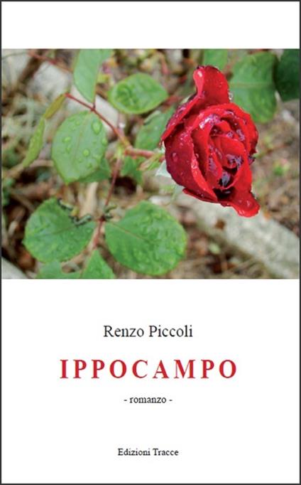 Ippocampo - Renzo Piccoli - copertina